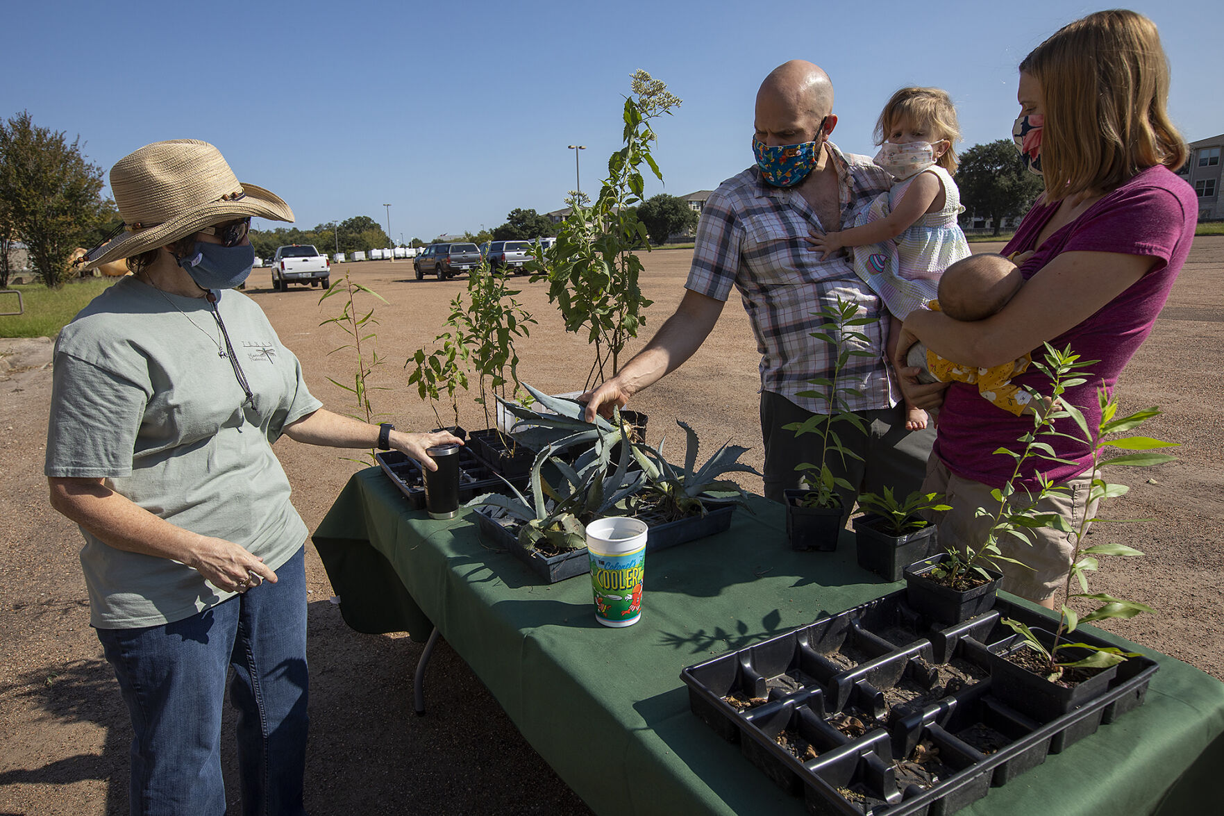 Texas Master Naturalist Brazos Valley plant sale